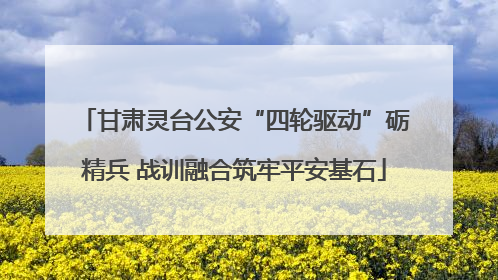 甘肃灵台公安“四轮驱动”砺精兵 战训融合筑牢平安基石
