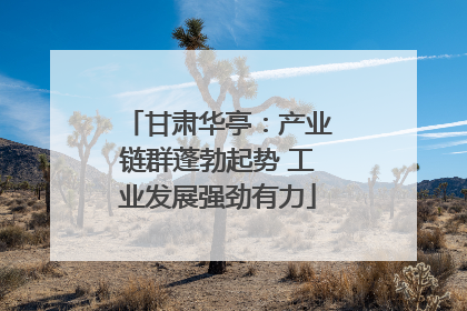 甘肃华亭：产业链群蓬勃起势 工业发展强劲有力