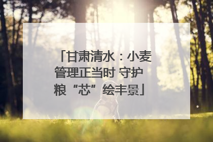 甘肃清水：小麦管理正当时 守护粮“芯”绘丰景