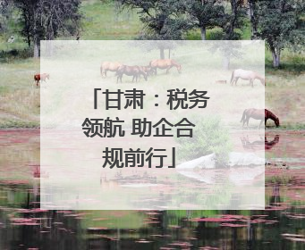 甘肃：税务领航 助企合规前行