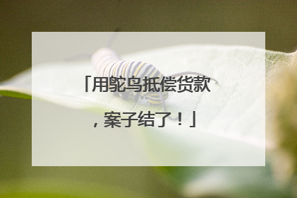 用鸵鸟抵偿货款，案子结了！