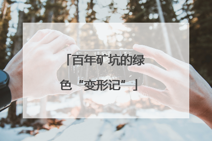 百年矿坑的绿色“变形记”