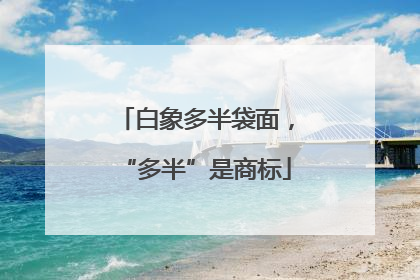 白象多半袋面，“多半”是商标