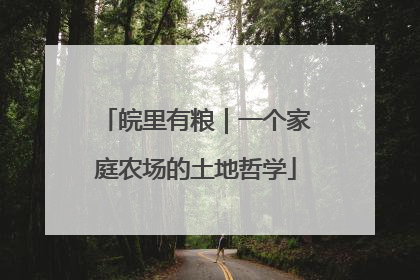 皖里有粮｜一个家庭农场的土地哲学