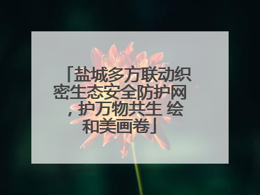 盐城多方联动织密生态安全防护网，护万物共生 绘和美画卷