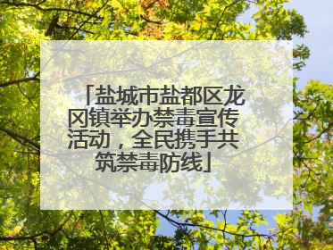 盐城市盐都区龙冈镇举办禁毒宣传活动，全民携手共筑禁毒防线