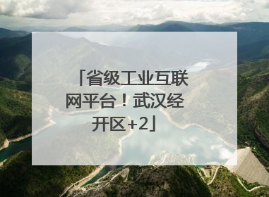 省级工业互联网平台！武汉经开区+2