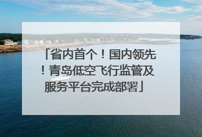 省内首个！国内领先！青岛低空飞行监管及服务平台完成部署