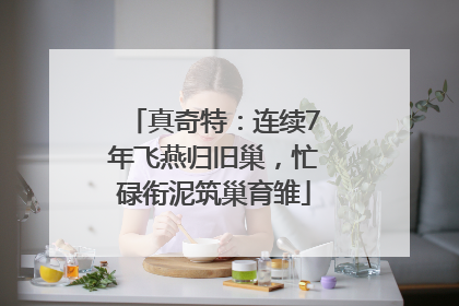 真奇特：连续7年飞燕归旧巢，忙碌衔泥筑巢育雏