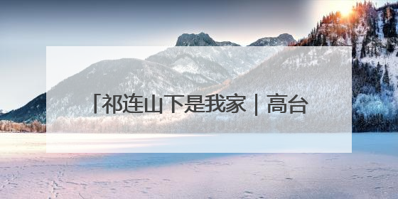 祁连山下是我家｜高台东庄：沙地“露水瓜” 甜了舌尖 富了农家