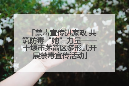 禁毒宣传进家政 共筑防毒“她”力量——十堰市茅箭区多形式开展禁毒宣传活动