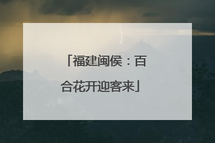 福建闽侯：百合花开迎客来