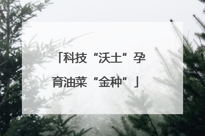 科技“沃土”孕育油菜“金种”