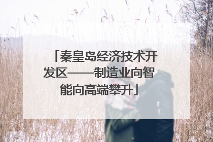 秦皇岛经济技术开发区——制造业向智能向高端攀升