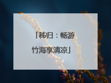 秭归：畅游竹海享清凉