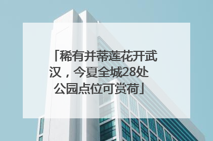 稀有并蒂莲花开武汉，今夏全城28处公园点位可赏荷