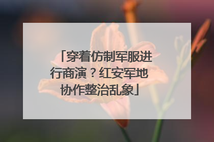 穿着仿制军服进行商演？红安军地协作整治乱象