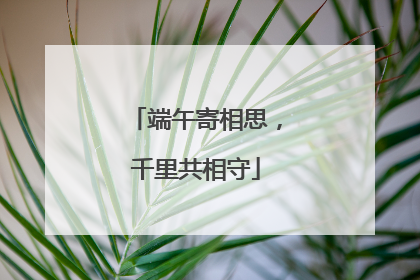 端午寄相思，千里共相守
