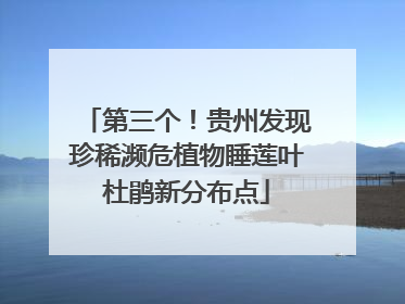 第三个！贵州发现珍稀濒危植物睡莲叶杜鹃新分布点
