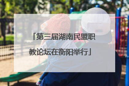第三届湖南民盟职教论坛在衡阳举行