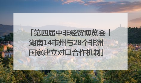 第四届中非经贸博览会丨湖南14市州与28个非洲国家建立对口合作机制