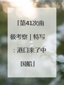 第41次南极考察｜特写：港口来了中国船