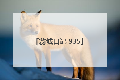 翁城日记 935