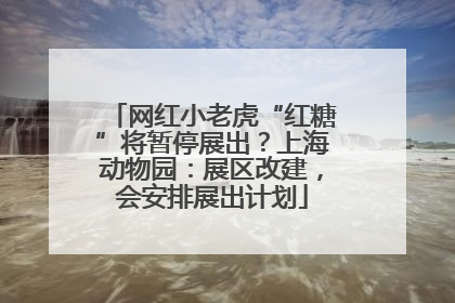 网红小老虎“红糖”将暂停展出？上海动物园：展区改建，会安排展出计划