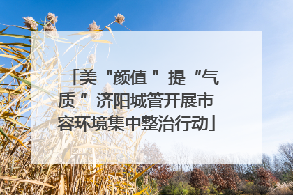 美“颜值 ”提“气质 ”济阳城管开展市容环境集中整治行动