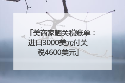 美商家晒关税账单：进口3000美元付关税4600美元