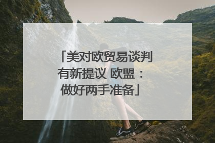 美对欧贸易谈判有新提议 欧盟：做好两手准备