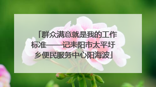 群众满意就是我的工作标准——记耒阳市太平圩乡便民服务中心阳海波