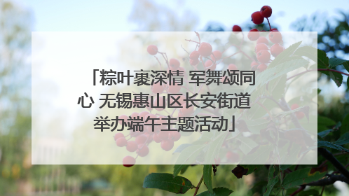 粽叶裹深情 军舞颂同心 无锡惠山区长安街道举办端午主题活动