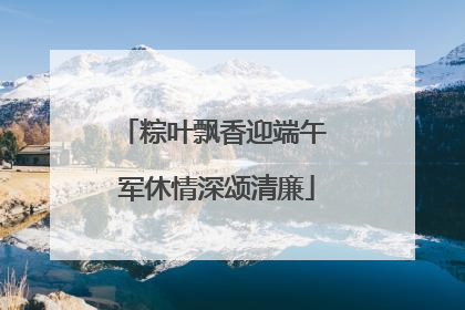 粽叶飘香迎端午 军休情深颂清廉