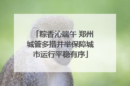 粽香沁端午 郑州城管多措并举保障城市运行平稳有序