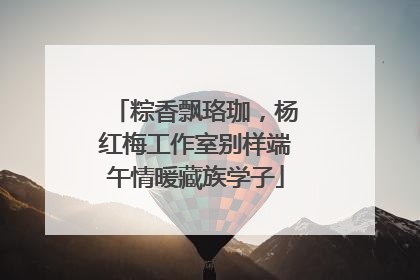 粽香飘珞珈，杨红梅工作室别样端午情暖藏族学子