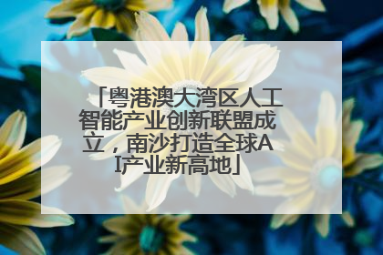 粤港澳大湾区人工智能产业创新联盟成立，南沙打造全球AI产业新高地