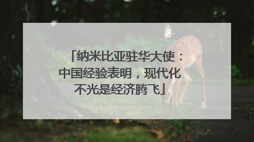 纳米比亚驻华大使：中国经验表明，现代化不光是经济腾飞