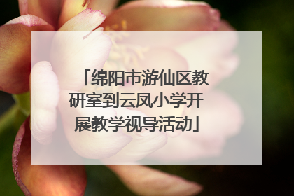 绵阳市游仙区教研室到云凤小学开展教学视导活动