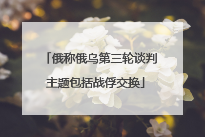 俄称俄乌第三轮谈判主题包括战俘交换
