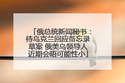 俄总统新闻秘书：待乌克兰回应备忘录草案 俄美乌领导人近期会晤可能性小