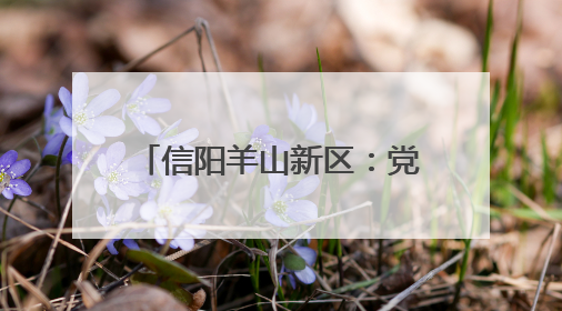 信阳羊山新区：党建赋能“板凳会” 共绘幸福邻里情