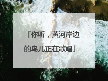 你听，黄河岸边的鸟儿正在歌唱