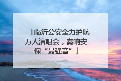 临沂公安全力护航万人演唱会，奏响安保“最强音”