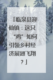 临泉县迎仙镇：这只“鸡”如何引领乡村经济展翅飞翔？