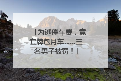 为逃停车费，竟套牌包月车……三名男子被罚！