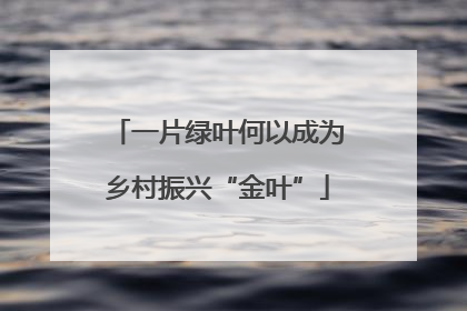 一片绿叶何以成为乡村振兴“金叶”