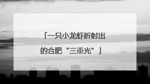 一只小龙虾折射出的合肥“三重光”