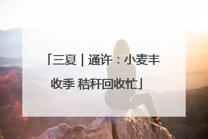 三夏｜通许：小麦丰收季 秸秆回收忙