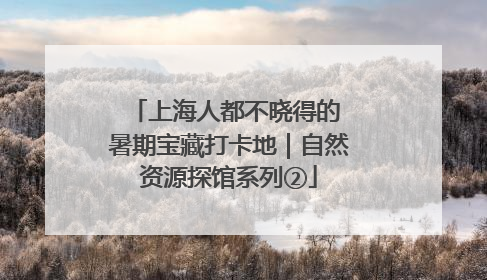 上海人都不晓得的 暑期宝藏打卡地｜自然资源探馆系列②